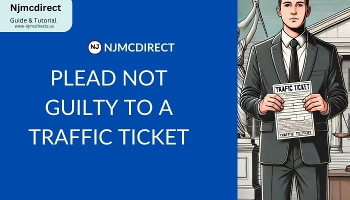 plead not guilty to a traffic ticket